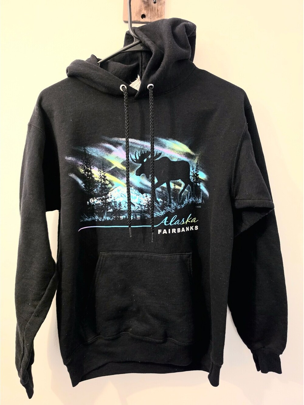 Vintage Alaska Fairbanks Moose Graphic Hoodie Sweatshirt EcoSmart S/P